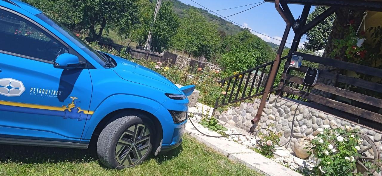 Pensiunea Gradinarilor Cu Ciubar Si Statie De Incarcare Electrica Auto Comanesti  Экстерьер фото